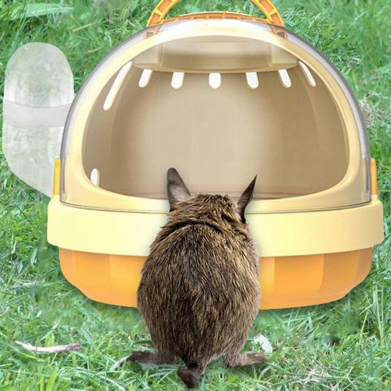 Hamster Carrier Cage with Water Bottle Habitat Hamster Travel Carrier Pet Outgoing Cage for Chinchilla Hedgehog Dwarf Hamster